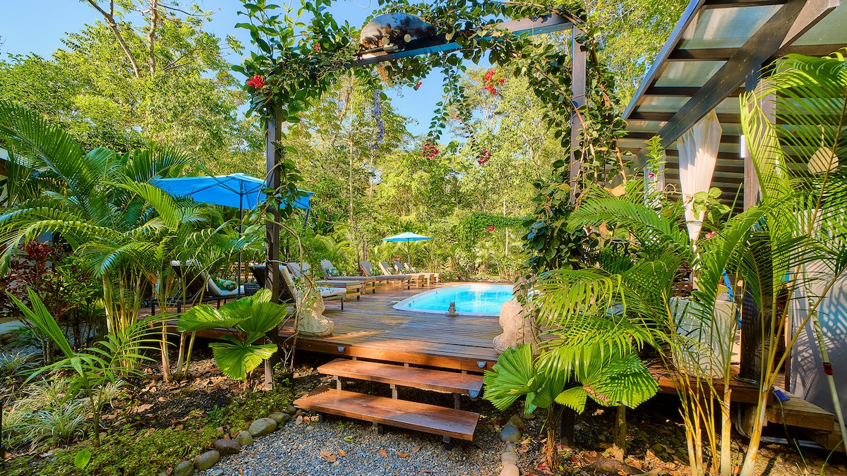 A wooden pool deck is framed by tropical foliage and vibrant flowers, creating a serene setting. Sun chairs are positioned by the sparkling pool, inviting relaxation. Dappled sunlight filters through the greenery, enhancing the peaceful ambiance of the surrounding jungle garden.