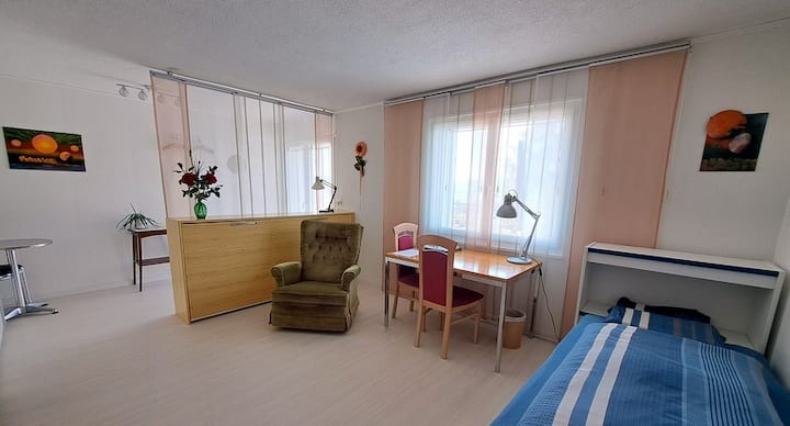 Dhomë me dritë 24 m2