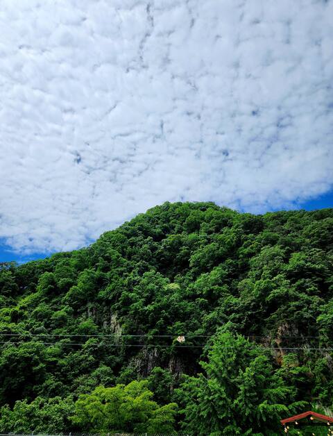 Private pension where you can bring your dog in Pocheon. It's good for a walk on Dulle-gil. Big Zone 2nd floor