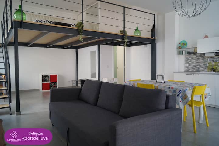 Loft Dell'uva Rutigliano - Mola di Bari