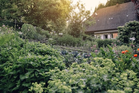 family-friendly, close to nature, Schwarzwaldhof