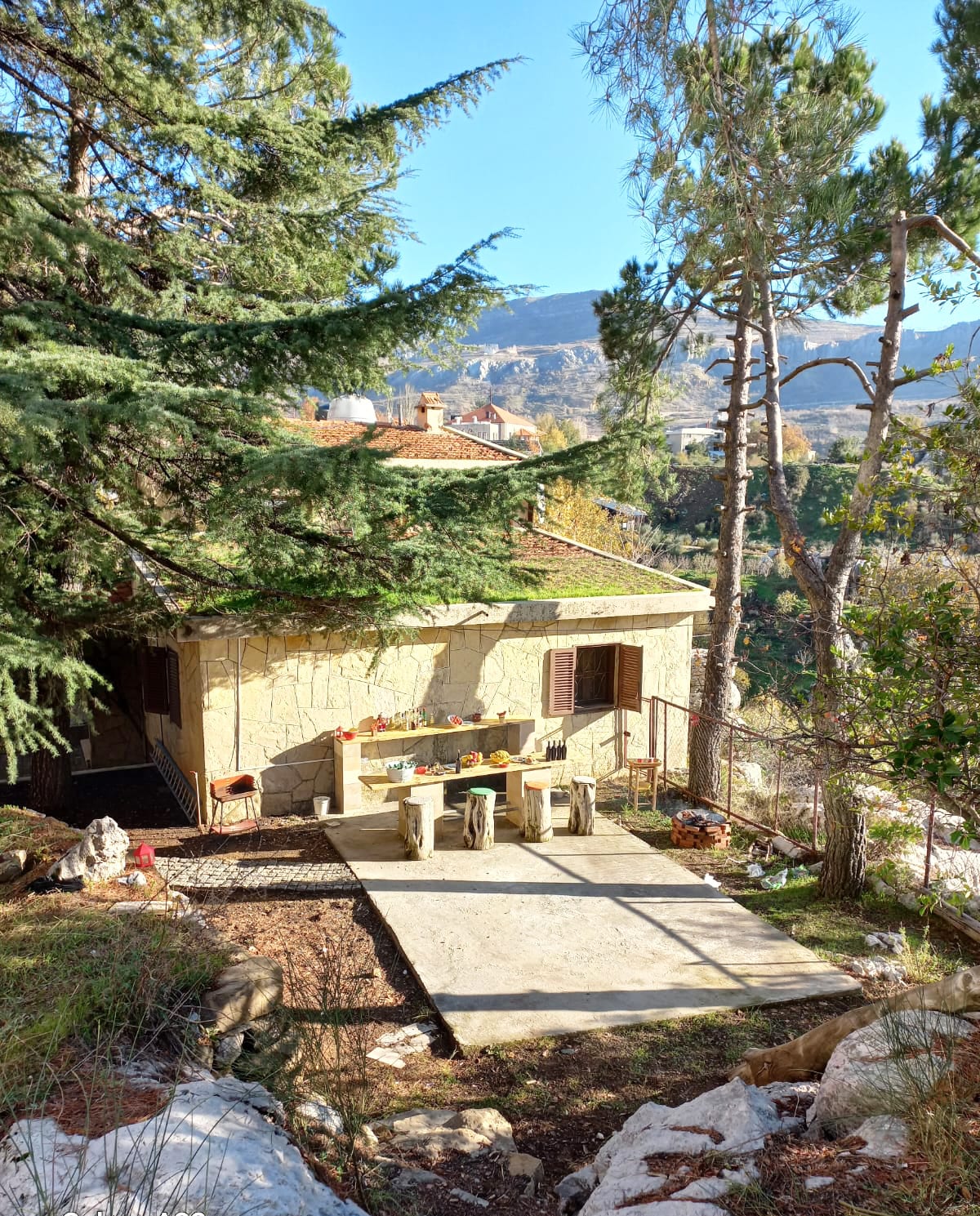 The exterior of the house is framed by tall, lush pine trees, creating a natural setting. A concrete terrace holds several wooden stools surrounding a rustic table. The serene mountain backdrop offers a sense of tranquility, inviting guests to enjoy outdoor gatherings.