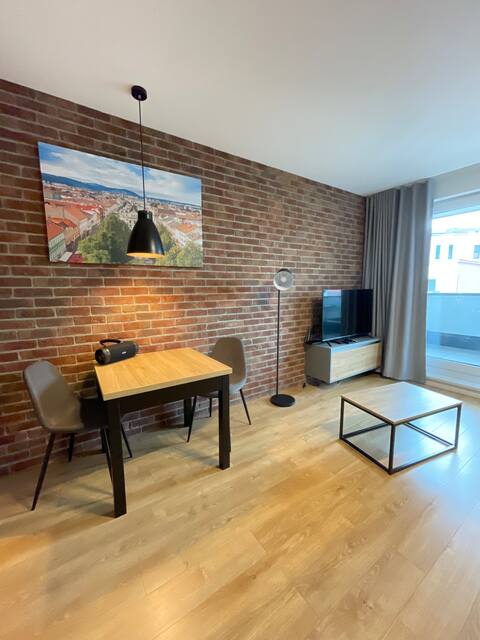 Extra-standard apartment in the center