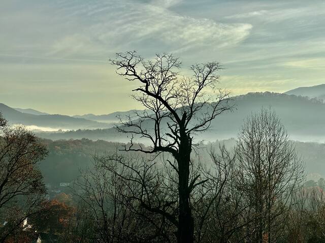 Asheville 7/4 Mansion, Views, Pool, Spa, Gameroom gallery image 2