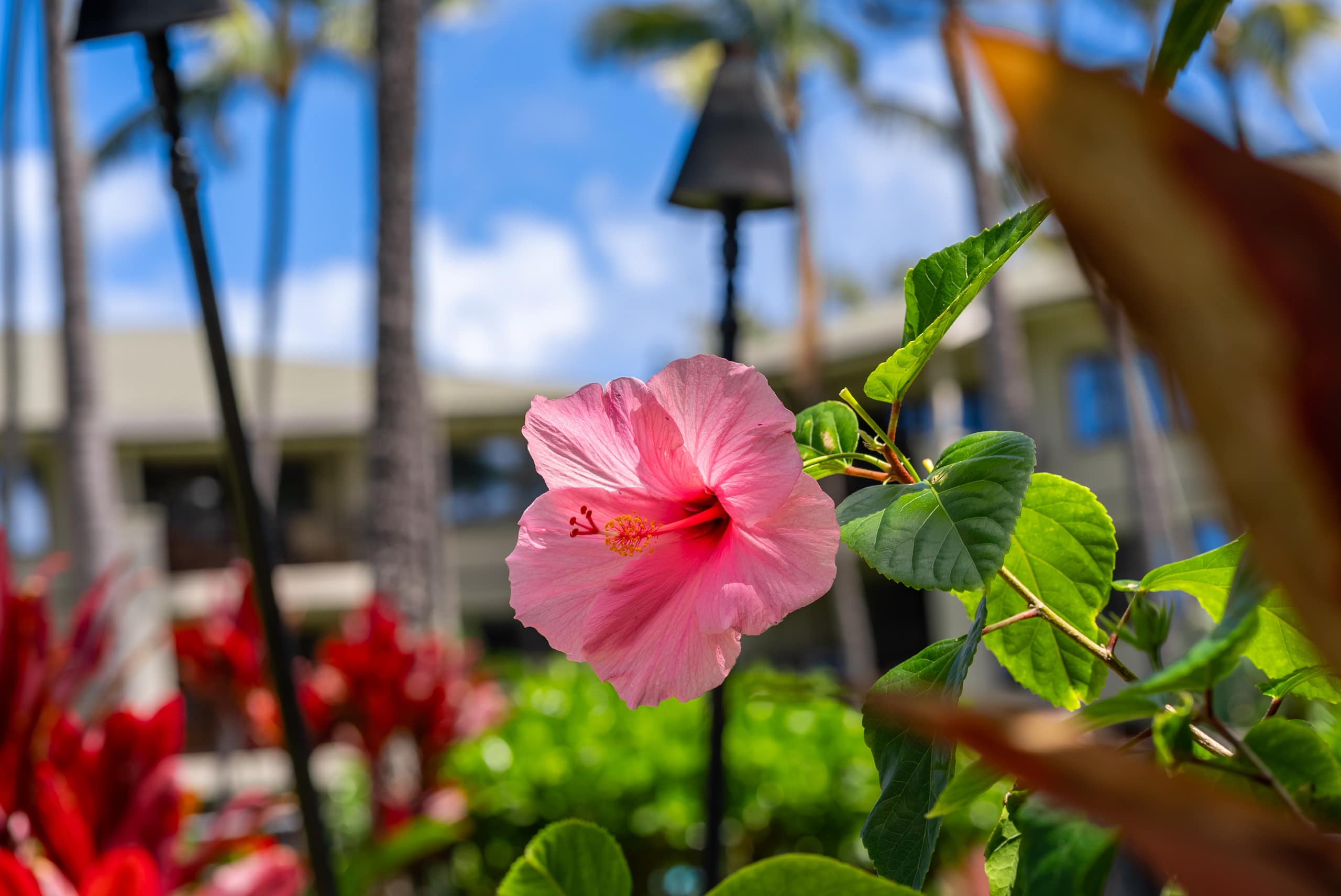 Villa in Kahuku · ★4.96 · 1 bedroom · 1 bed · 1 private bath - Image 32