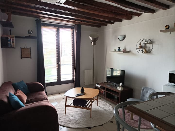 Logement Cosy En Bord De Marne - Lagny-sur-Marne