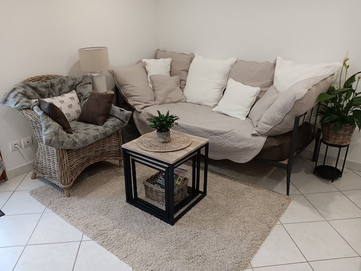 Joli T2 Calme En Rez-de-jardin - Eybens