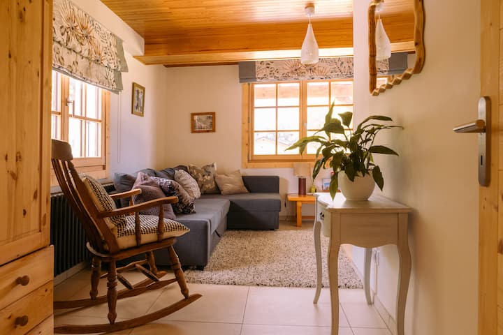 Newly Renovated Apartment - Verchaix - Verchaix