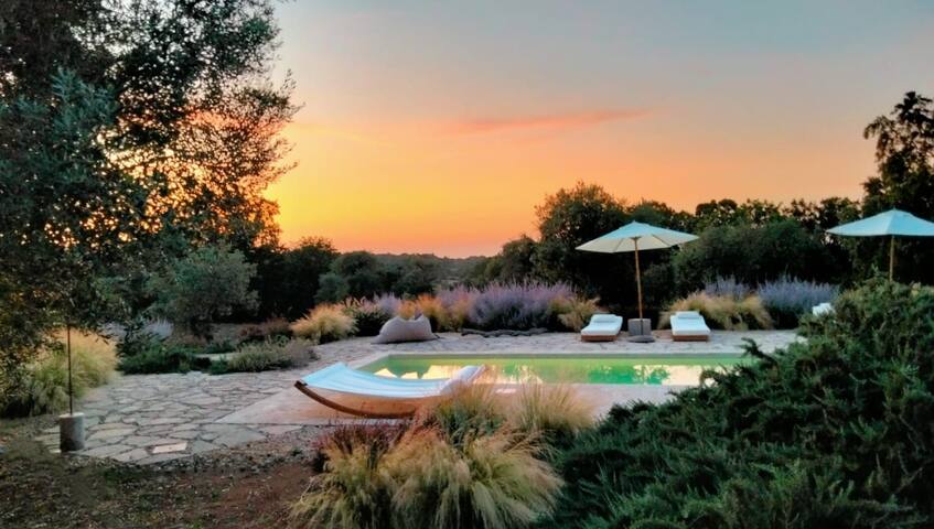 Elaia – Trullo di charme con piscina gallery image 4