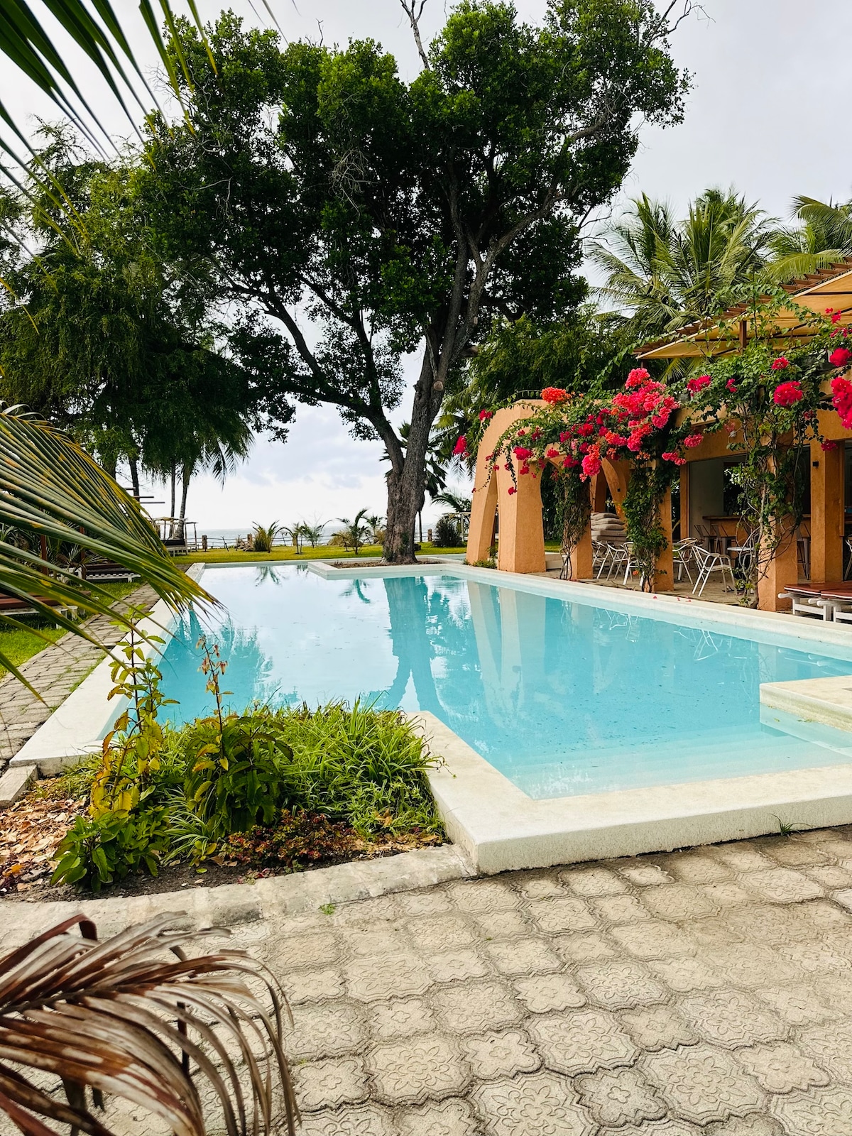 A clear swimming pool is set against a backdrop of lush greenery, featuring flowering bougainvillea vines along the edge. Outdoor seating arrangements are visible near the pool area, with a spacious terrace providing access to the villa. Towering palm trees are seen in the distance.
