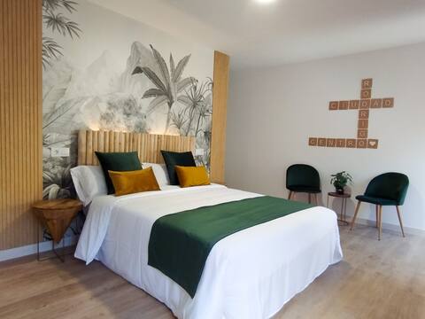 Apartment in the center for 4 people