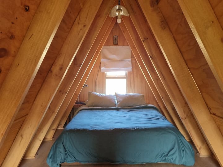 Habitación 1