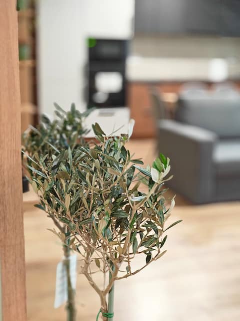 Olive Apartment