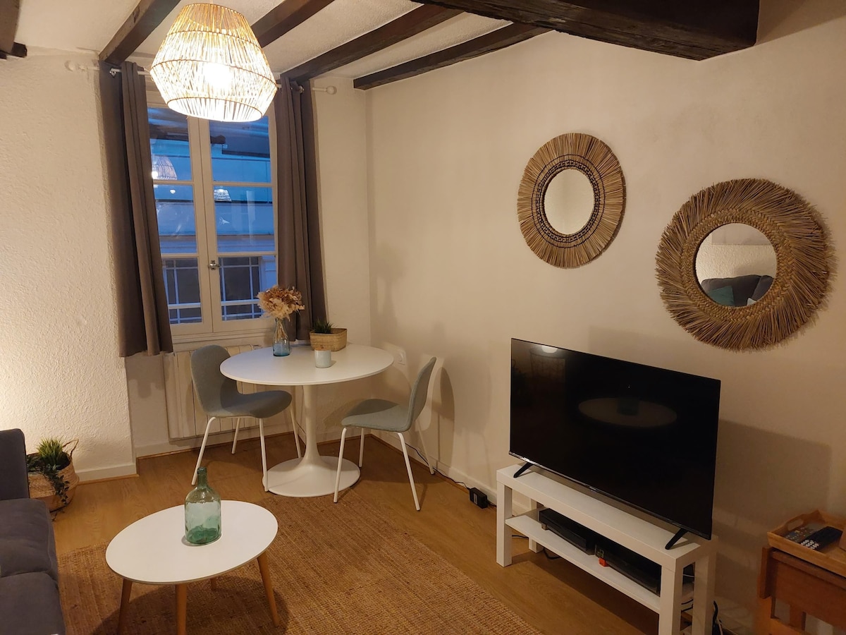 Airbnb con migliori performance: Charming studio in the heart of downtown a Villefranche Sur Saône