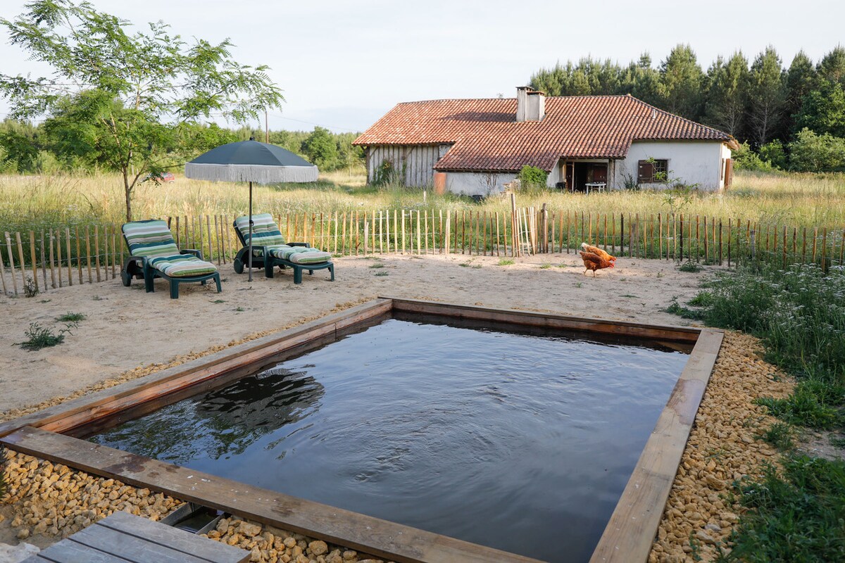 The outdoor area features a rectangular swimming pond surrounded by a wooden deck, with lounge chairs positioned nearby. A large umbrella offers shade, while a fence of wooden posts enhances the natural setting. Tall grass and trees are visible in the background.