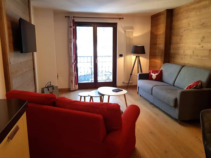 "Face Sud" Hypercentre Chamonix Ski/vtt/parking - Chamonix-Mont-Blanc