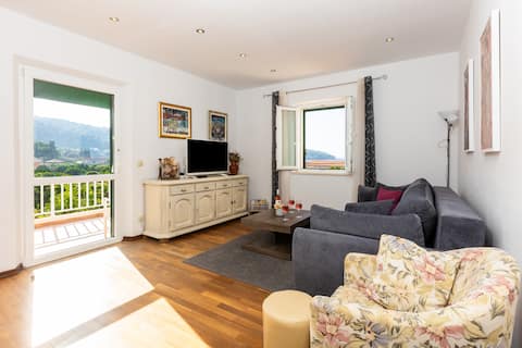 Popular Airbnb listing: Villa Elaphis Lopud - Apartment Lopud in Suđurađ
