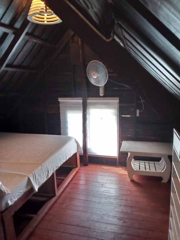 Bird Friendly Inn - Bayawan City
