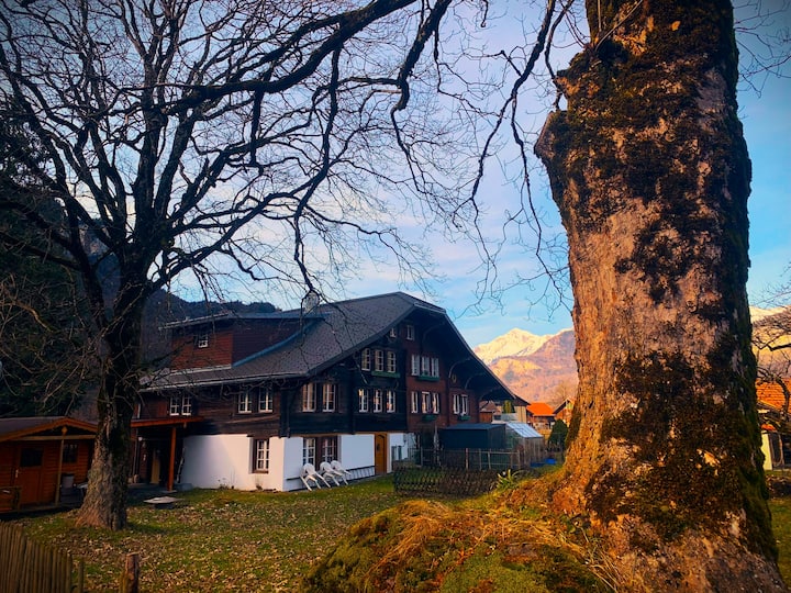 Haus Balm - Meiringen Hasliberg - Innertkirchen