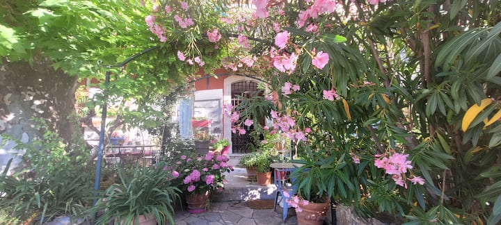 Vivre En Provence Autrement ! - Le Thoronet