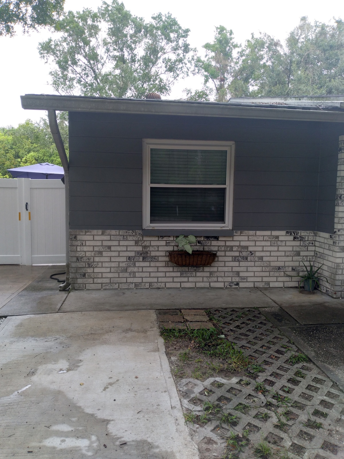 The exterior of the studio apartment features a combination of light gray siding and a light brick facade. A window with a basket planter is situated beside a concrete walkway, providing access to the nearby outdoor area.