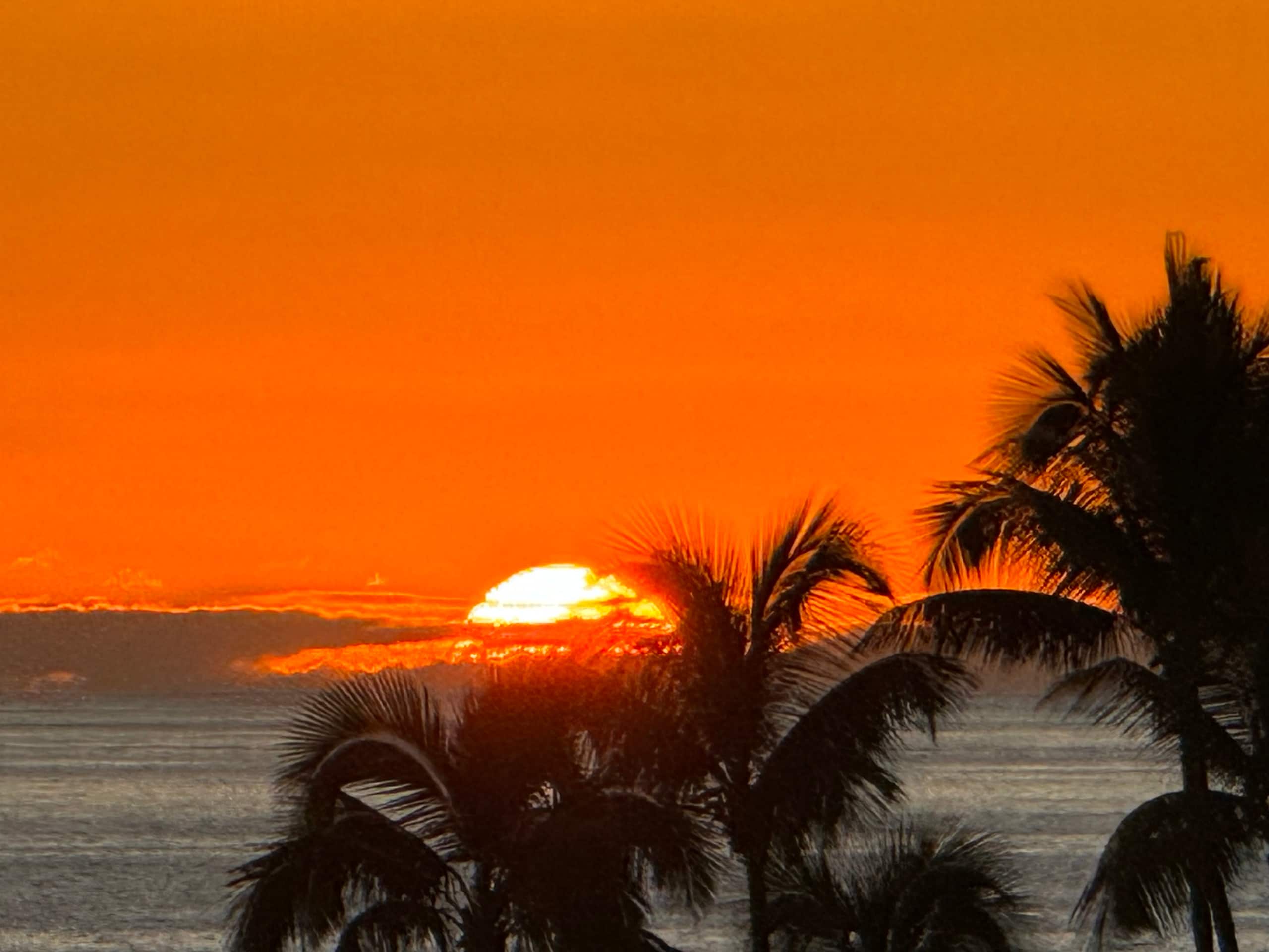 Condo in Kailua-Kona · ★4.96 · 1 bedroom · 1 bed · 1 bath - Image 33