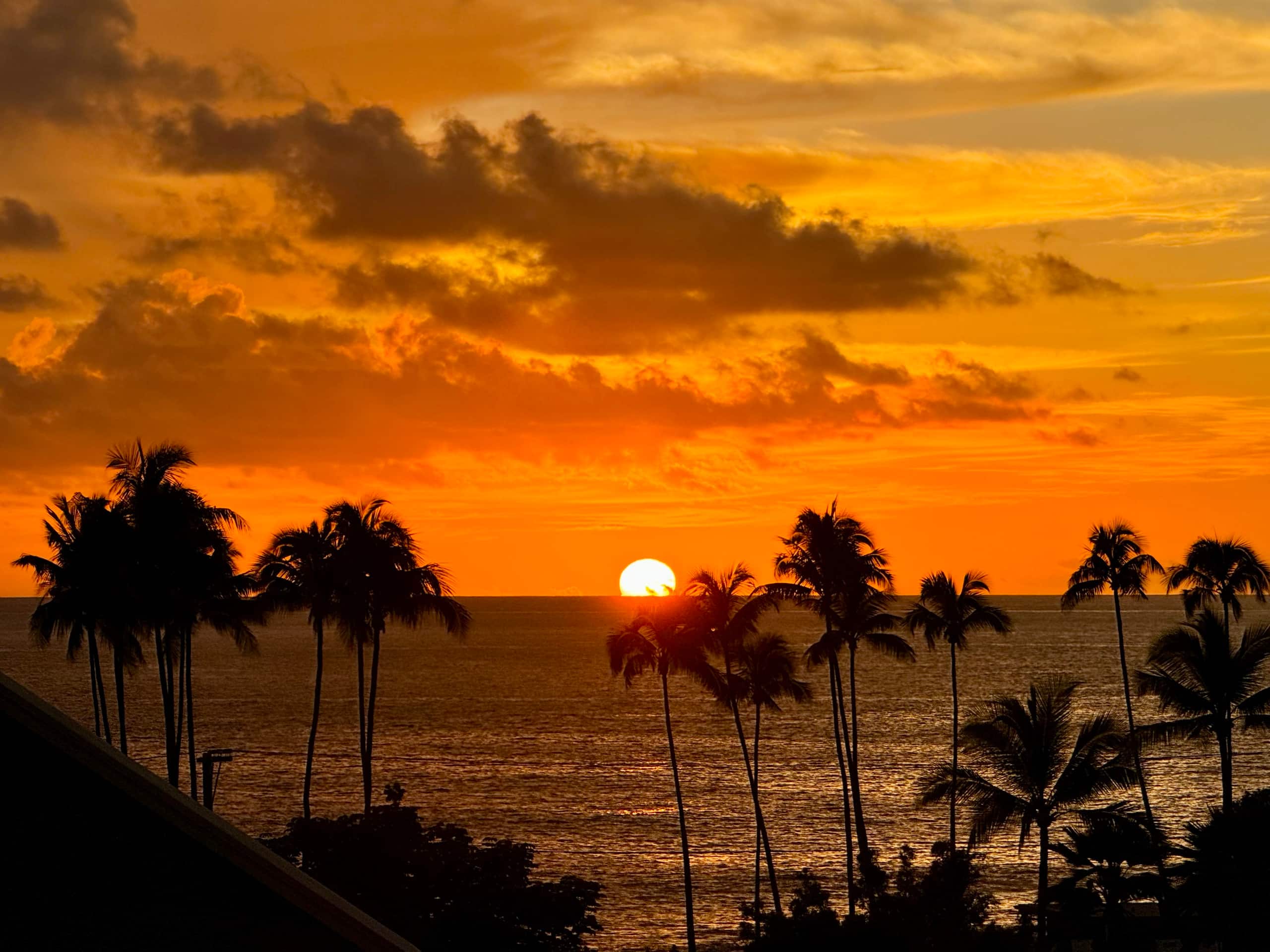 Condo in Kailua-Kona · ★4.96 · 1 bedroom · 1 bed · 1 bath - Image 36
