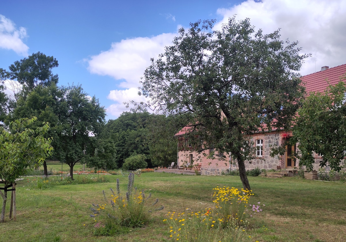 A serene landscape features a rustic stone building with a red roof, set against a blue sky adorned with fluffy clouds. Lush greenery surrounds the structure, including flowering plants and trees, enhancing the natural atmosphere of the countryside.