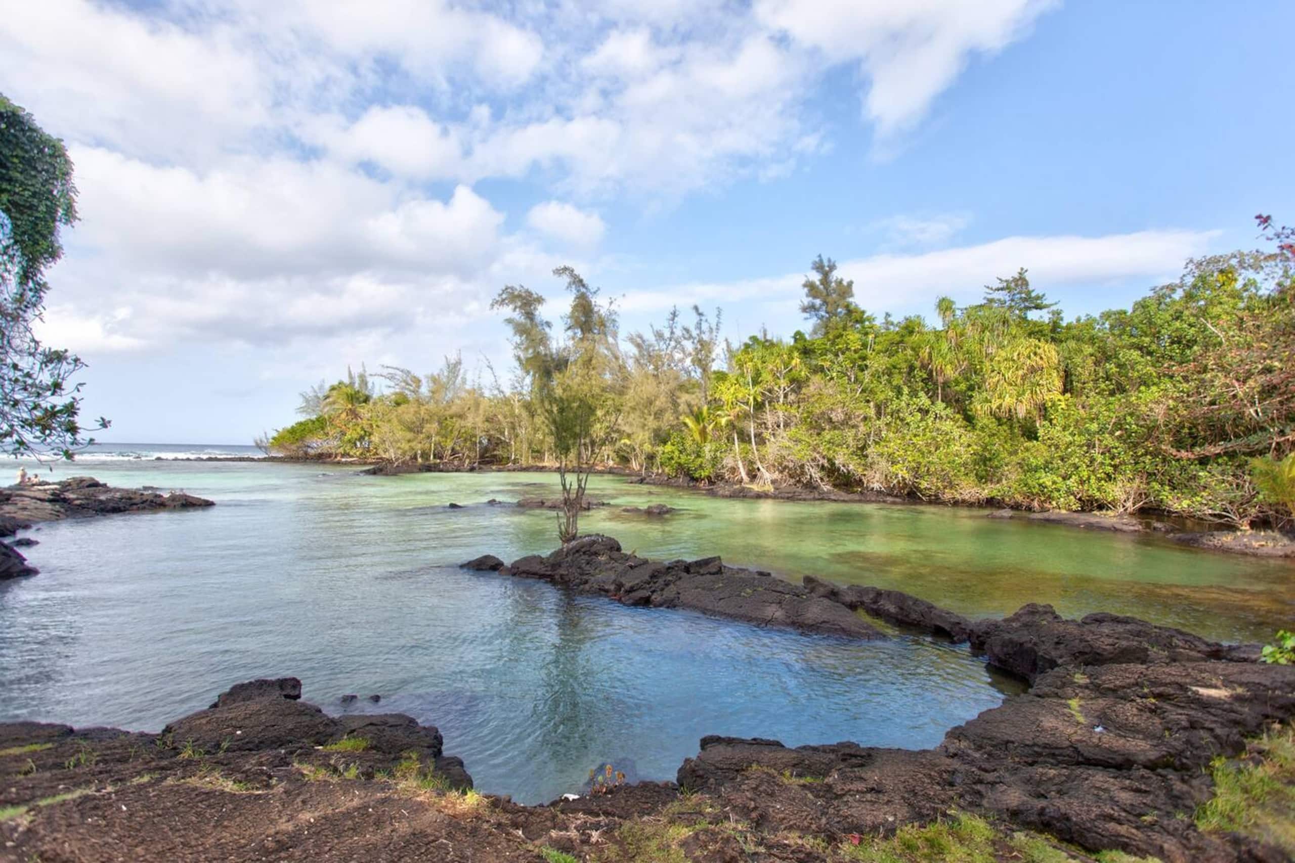 Condo in Hilo · ★4.72 · 2 bedrooms · 3 beds · 1 bath - Image 24