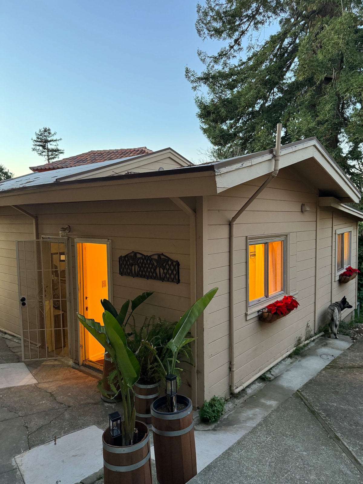 The cozy bungalow exterior is lit warmly by evening lights, revealing an inviting entrance. Potted plants are placed near the doorway, accompanied by flowering accents. Tall trees are visible in the background, contributing to the serene residential atmosphere.