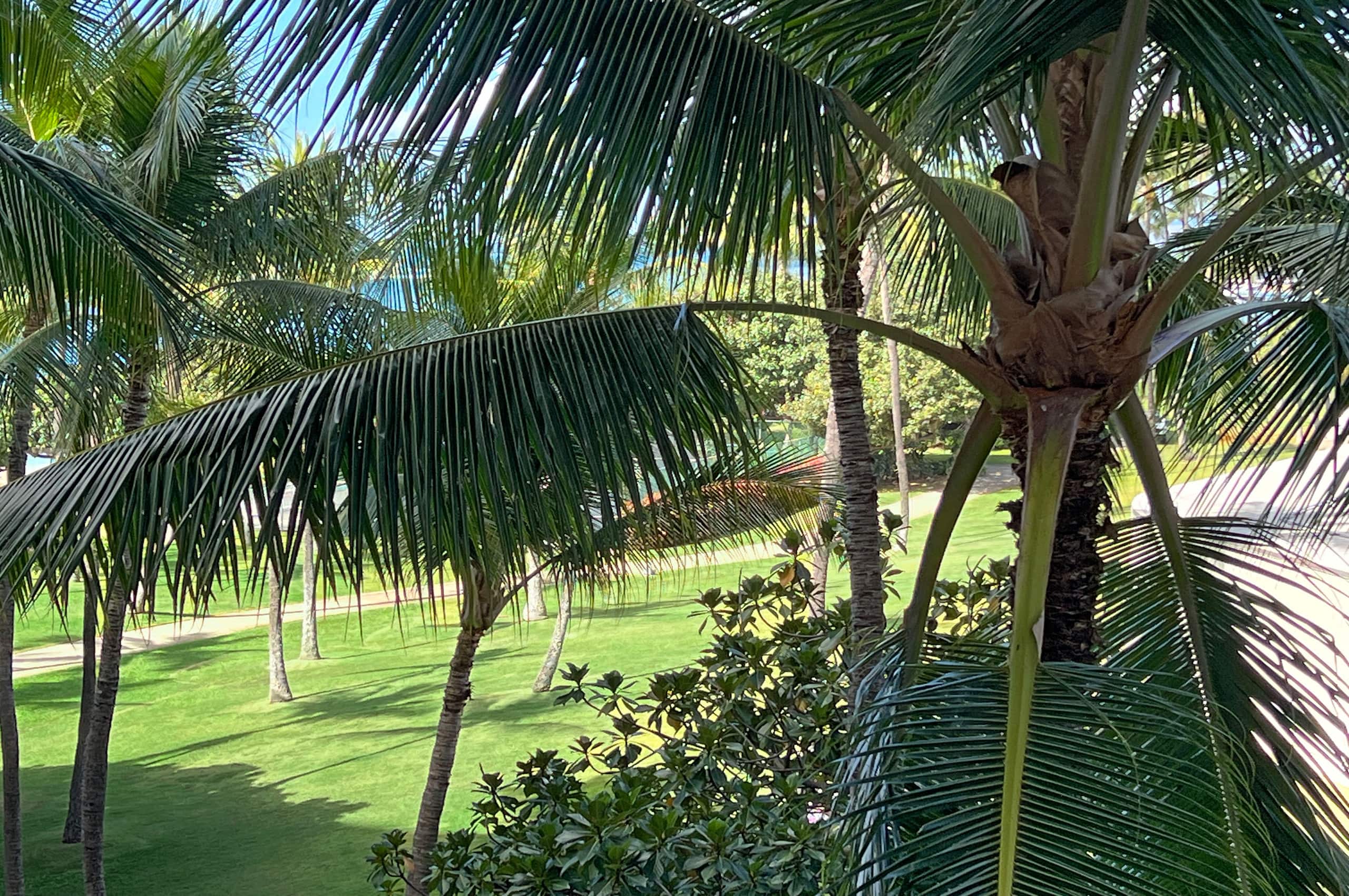 Condo in Honolulu · ★4.89 · Studio · 2 beds · 1 shared bath - Image 18