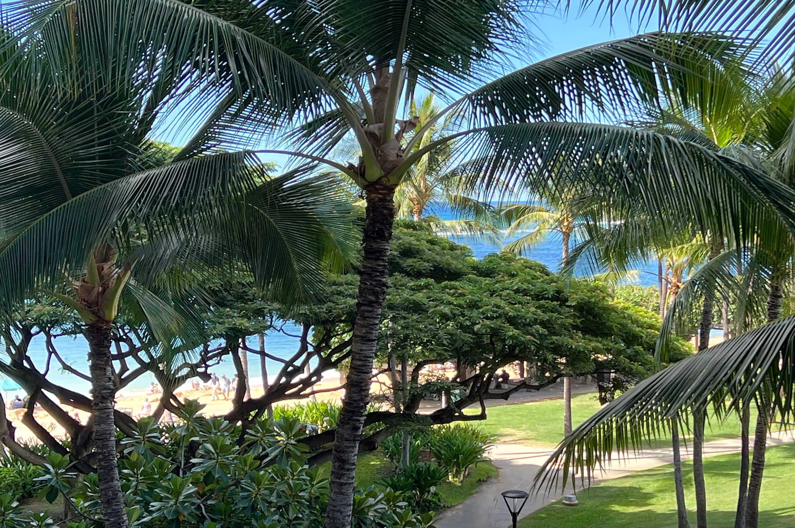 Condo in Honolulu · ★4.89 · Studio · 2 beds · 1 shared bath - Image 17