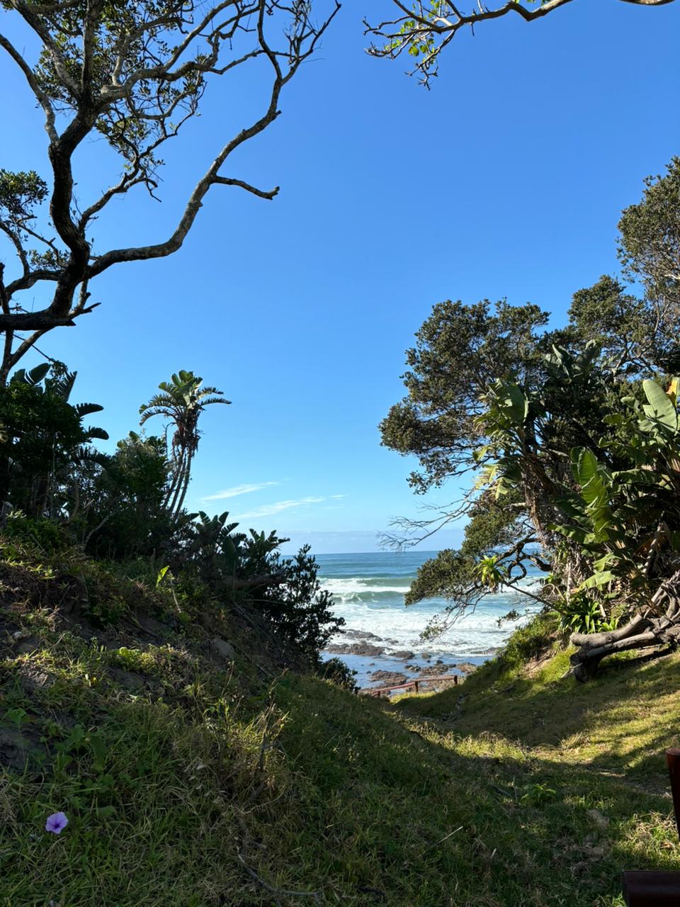 A pathway is framed by lush greenery, leading to the beach. Palm trees and coastal vegetation are visible against a clear blue sky. The gentle waves of the ocean can be seen in the distance, creating a serene coastal scene.