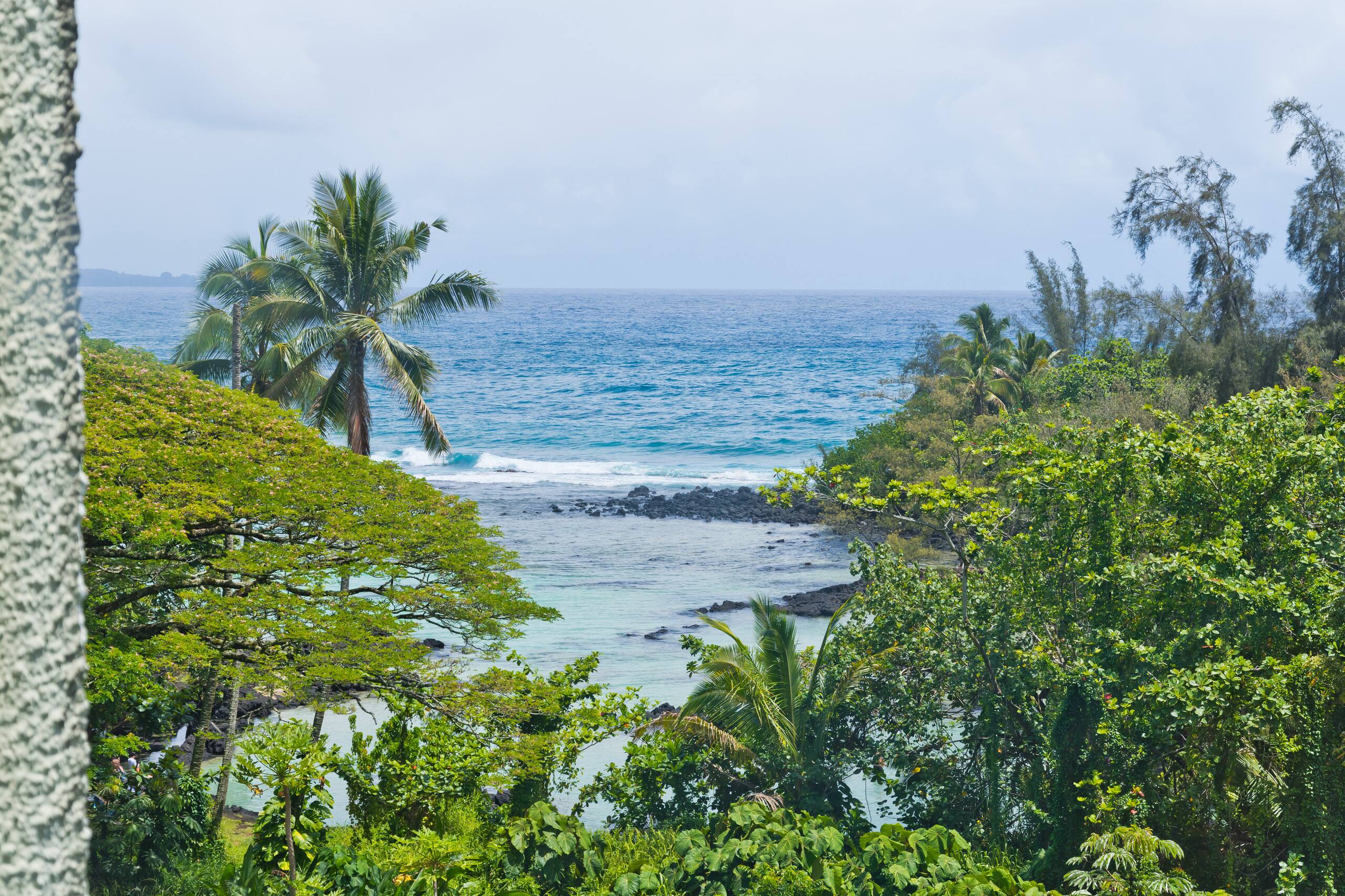 Condo in Hilo · ★4.67 · 2 bedrooms · 4 beds · 1 private bath - Image 25