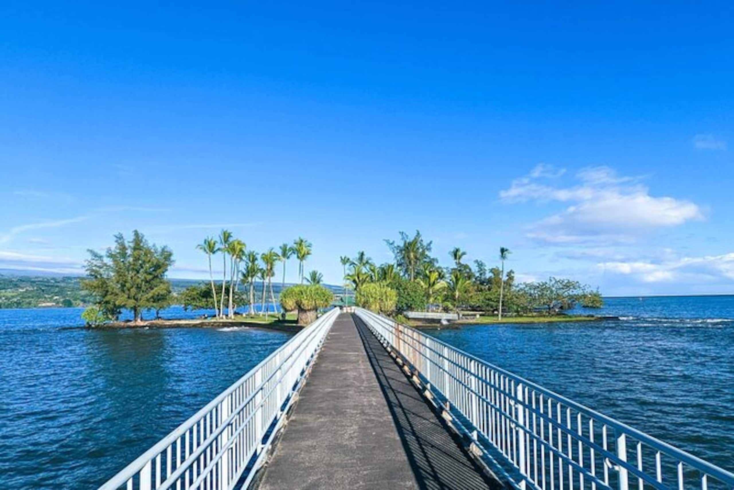 Condo in Hilo · ★4.67 · 2 bedrooms · 4 beds · 1 private bath - Image 51
