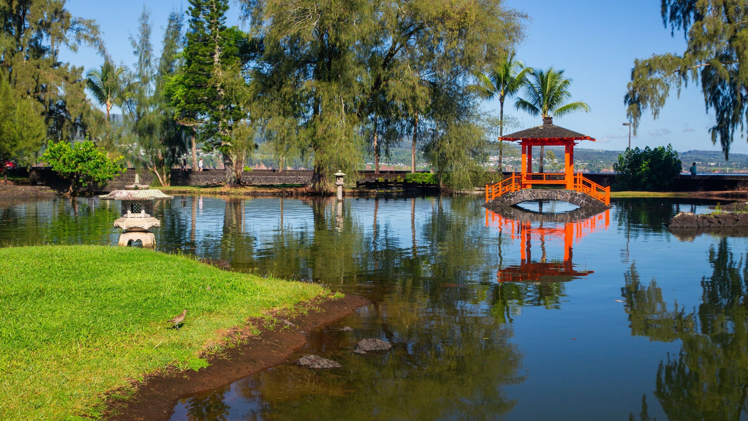 Condo in Hilo · ★4.67 · 2 bedrooms · 4 beds · 1 private bath - Image 57