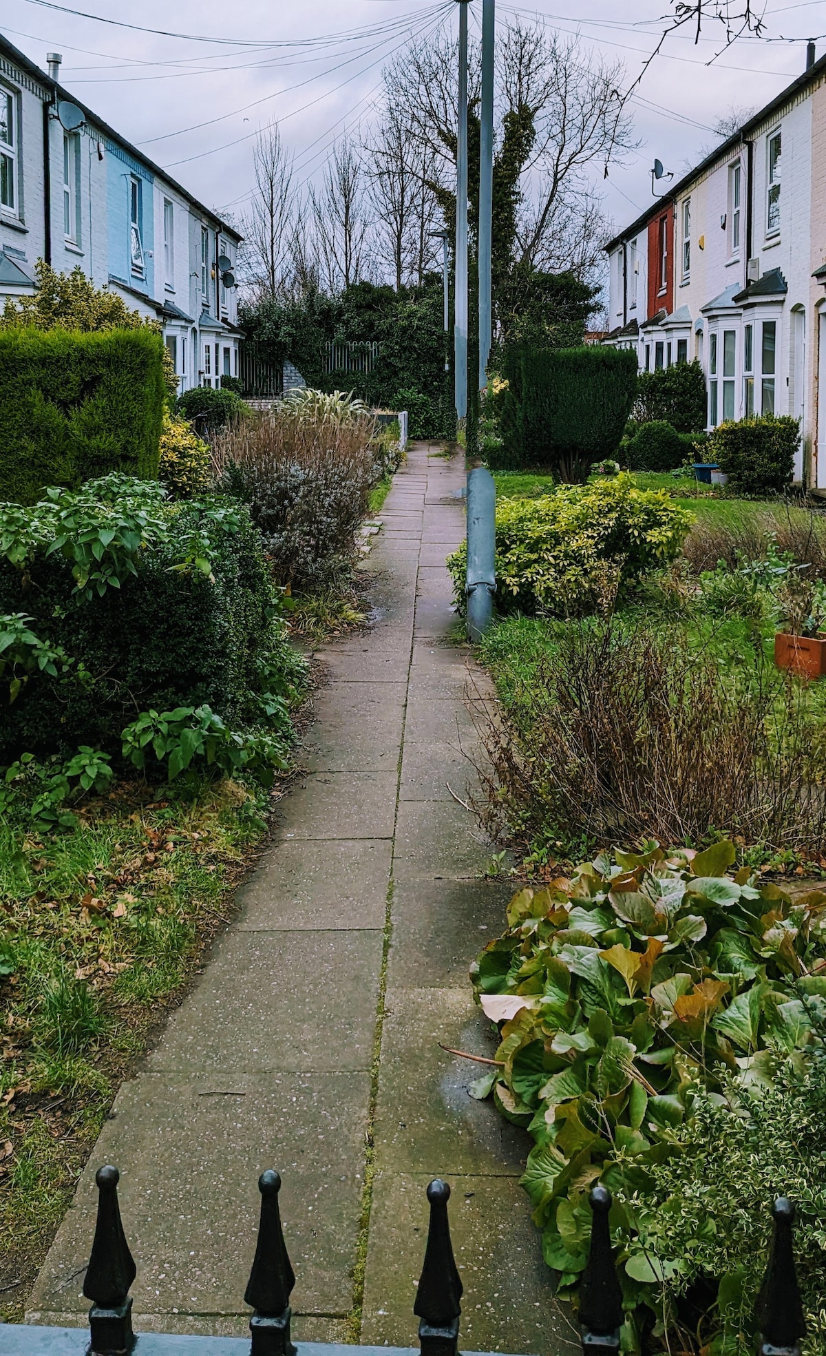 A paved pathway runs through a well-maintained garden, flanked by a mix of shrubs and flowering plants. The pathway leads between two rows of charming houses, with greenery providing a peaceful atmosphere. Utility poles are visible along the walkway, set against a cloudy sky.
