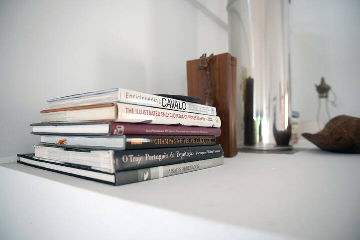 Lisbon Charming Villa gallery image 5