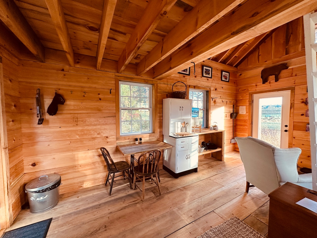 The interior of a cozy cabin displays wooden paneling and a spacious open layout. A small dining area with two wooden chairs and a table is visible beside a vintage white kitchenette. Natural light floods in through two windows, while a door leads outside.