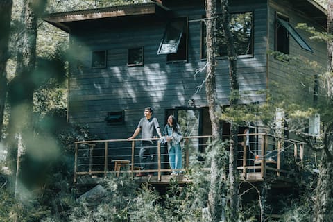 Forest Shelter 30 min. from Pucón