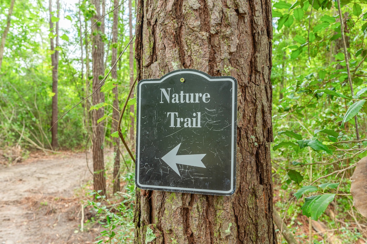 Nature Surroundings 6