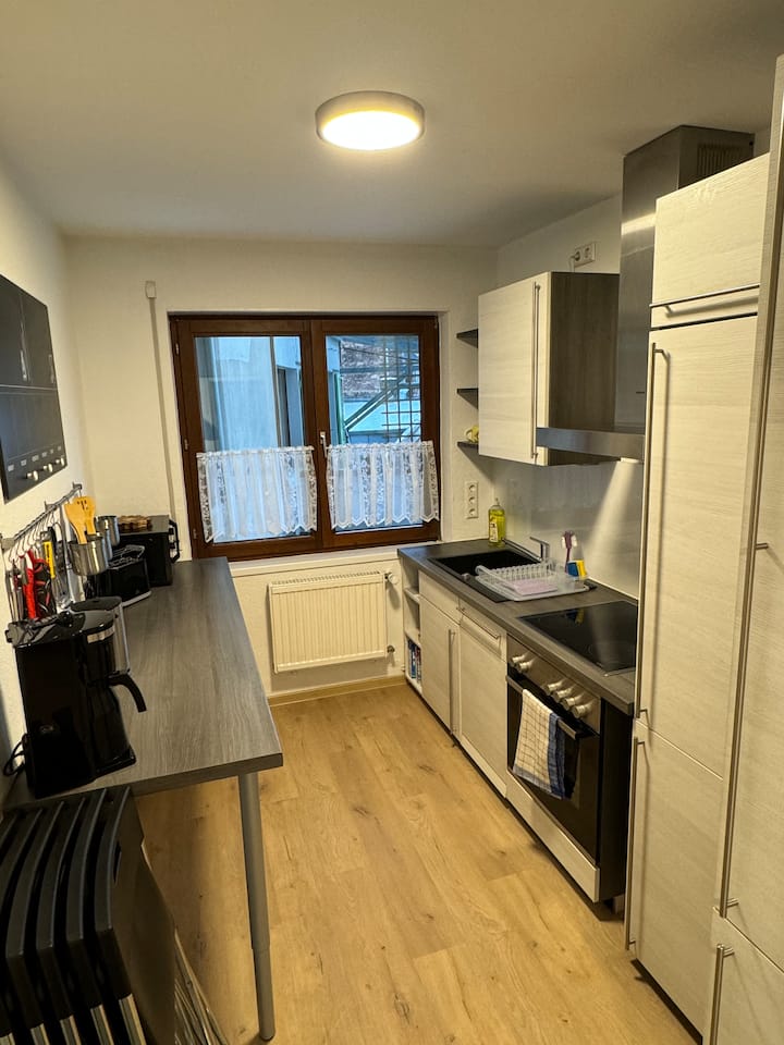 5-room Downtown Apt. With 2 Bathrooms/kitchens/bar - Karlsruhe
