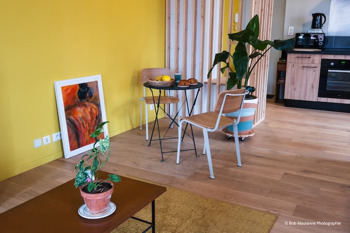 Duplex Sous Les Toits · Vue Sur Les Monuments - Le Puy-en-Velay