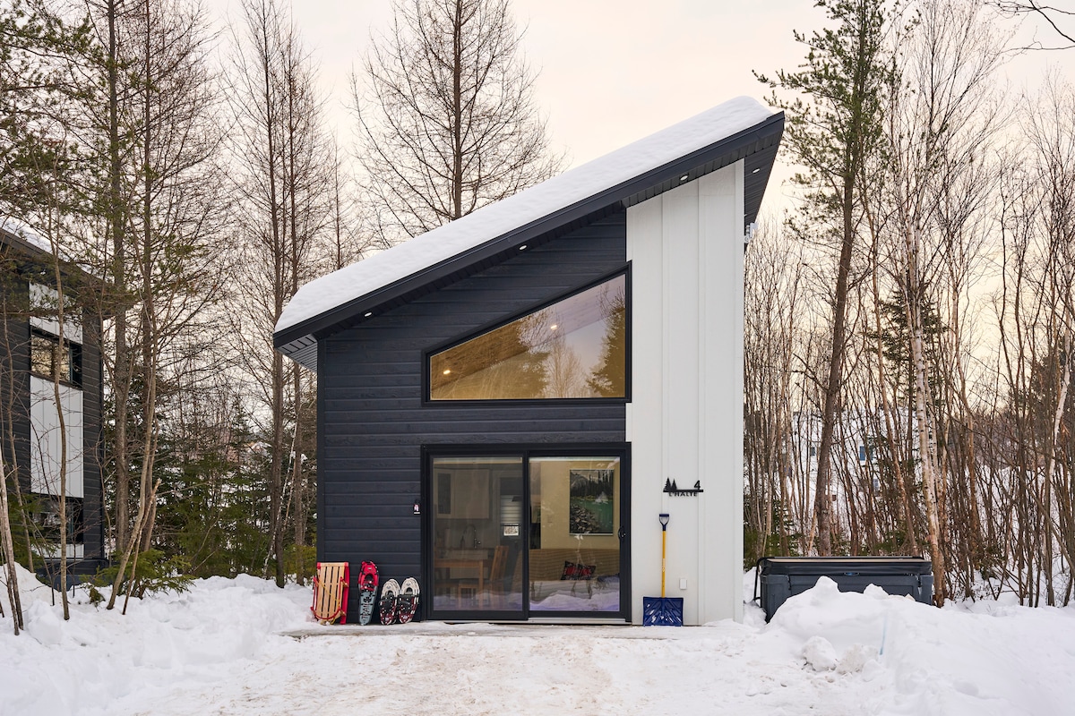 A modern chalet's exterior is displayed, featuring a slanted roof and large windows. Snow blankets the ground, and nearby trees provide a natural backdrop. A pathway leads to the entrance, with winter sports equipment positioned on the side.