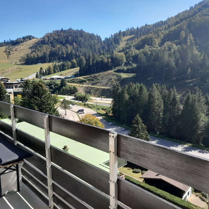 Appartement Osca Des Brimbelles - La Bresse