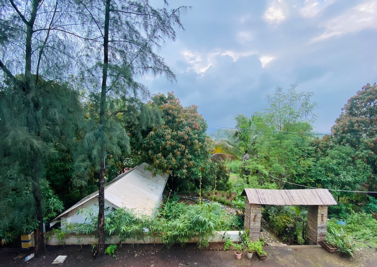 A serene outdoor scene captures a lush garden surrounded by trees under a cloudy sky. A rustic archway is visible, leading into the greenery. The tent structure is partially visible among the foliage, suggesting an immersive natural experience.
