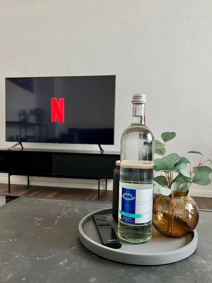 TV s besplatnim TV-om i Netflixom