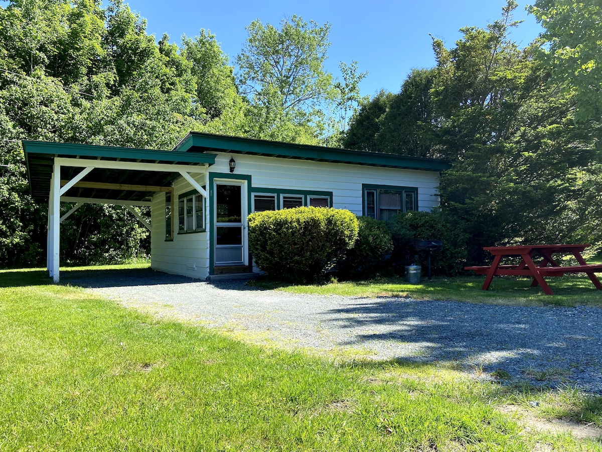 A charming cabin is set among lush greenery, featuring a covered porch with large windows that invite natural light. A picnic table is placed on the grass in front, complementing the inviting outdoor space surrounded by trees.