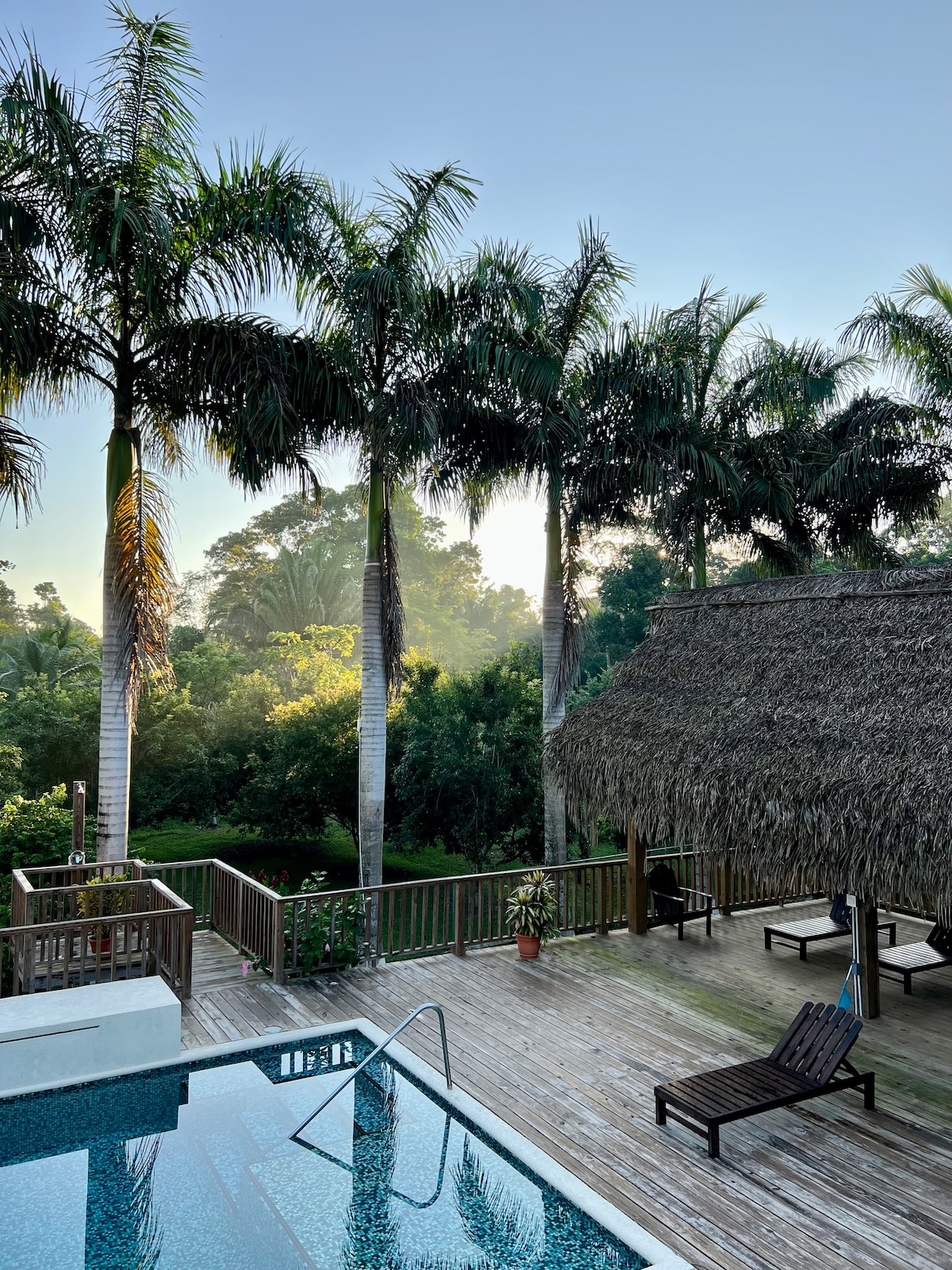 The elevated deck features a private pool surrounded by lush greenery and tall palm trees. A thatched-roof cabana offers shade, while lounge chairs are arranged nearby for relaxation. The serene atmosphere is complemented by gentle morning light illuminating the tranquil garden.