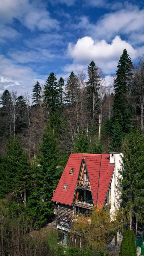 Home to the Mountain